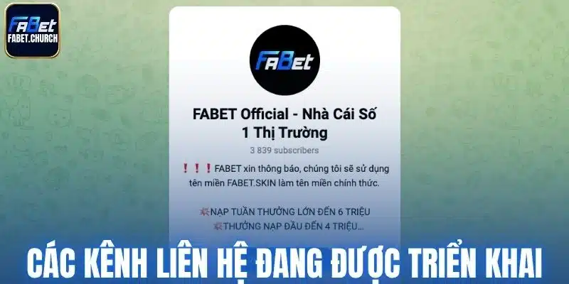 Các kênh liên hệ nhà cái đang được triển khai
