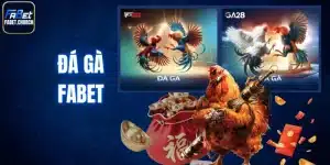 đá gà Fabet