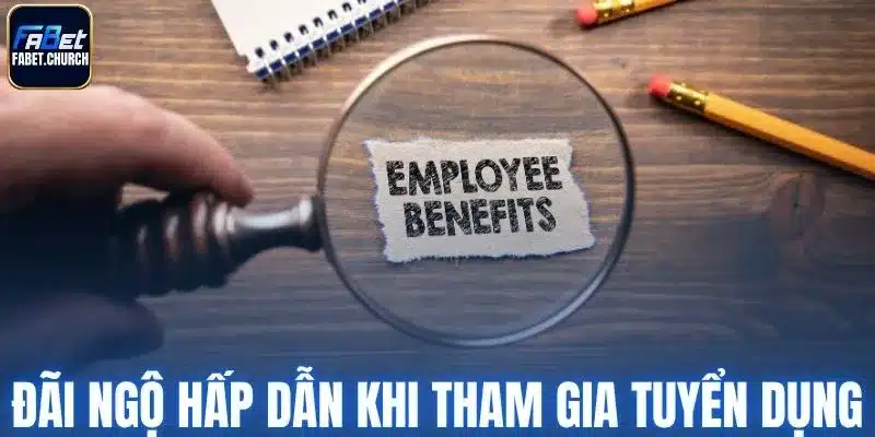 Đãi ngộ hấp dẫn khi tham gia tuyển dụng Fabet