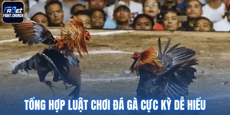 Tổng hợp luật chơi đá gà cực kỳ dễ hiểu
