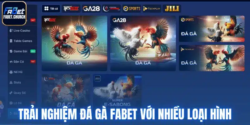 Trải nghiệm đá gà Fabet với nhiều loại hình