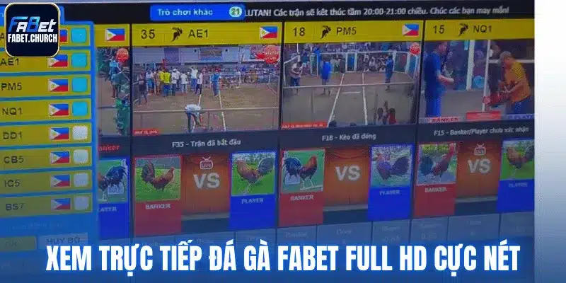 Xem trực tiếp đá gà Fabet Full HD cực nét